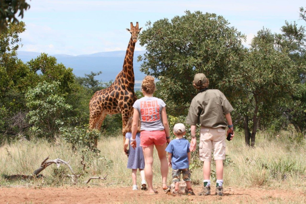 safari en famille