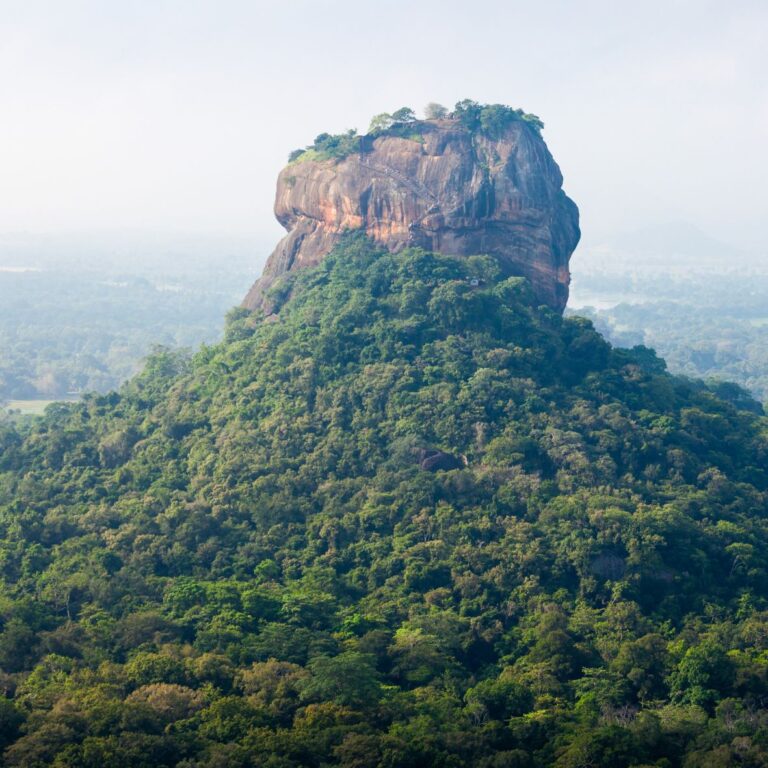 Itinéraire Sri Lanka : 10 jours à explorer les Trésors Cachés de l’Île