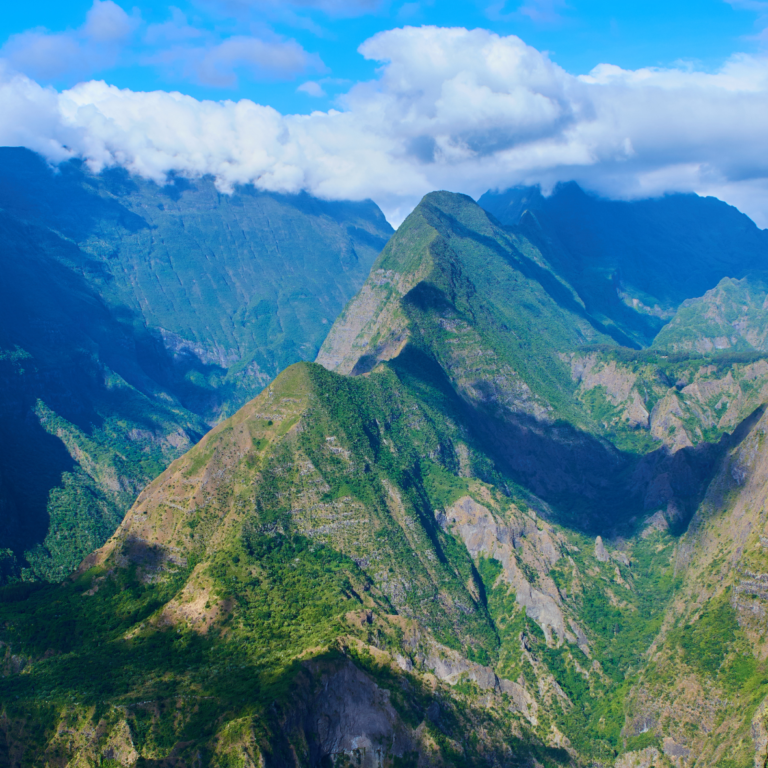 meilleure période pour la réunion : je vous dis tout !