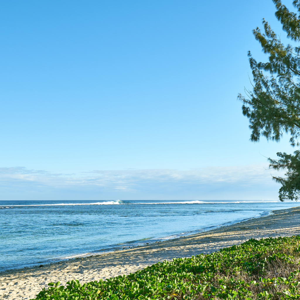 les plus belles plages de la réunion