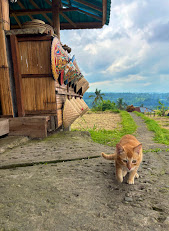 voyage authentique Bali