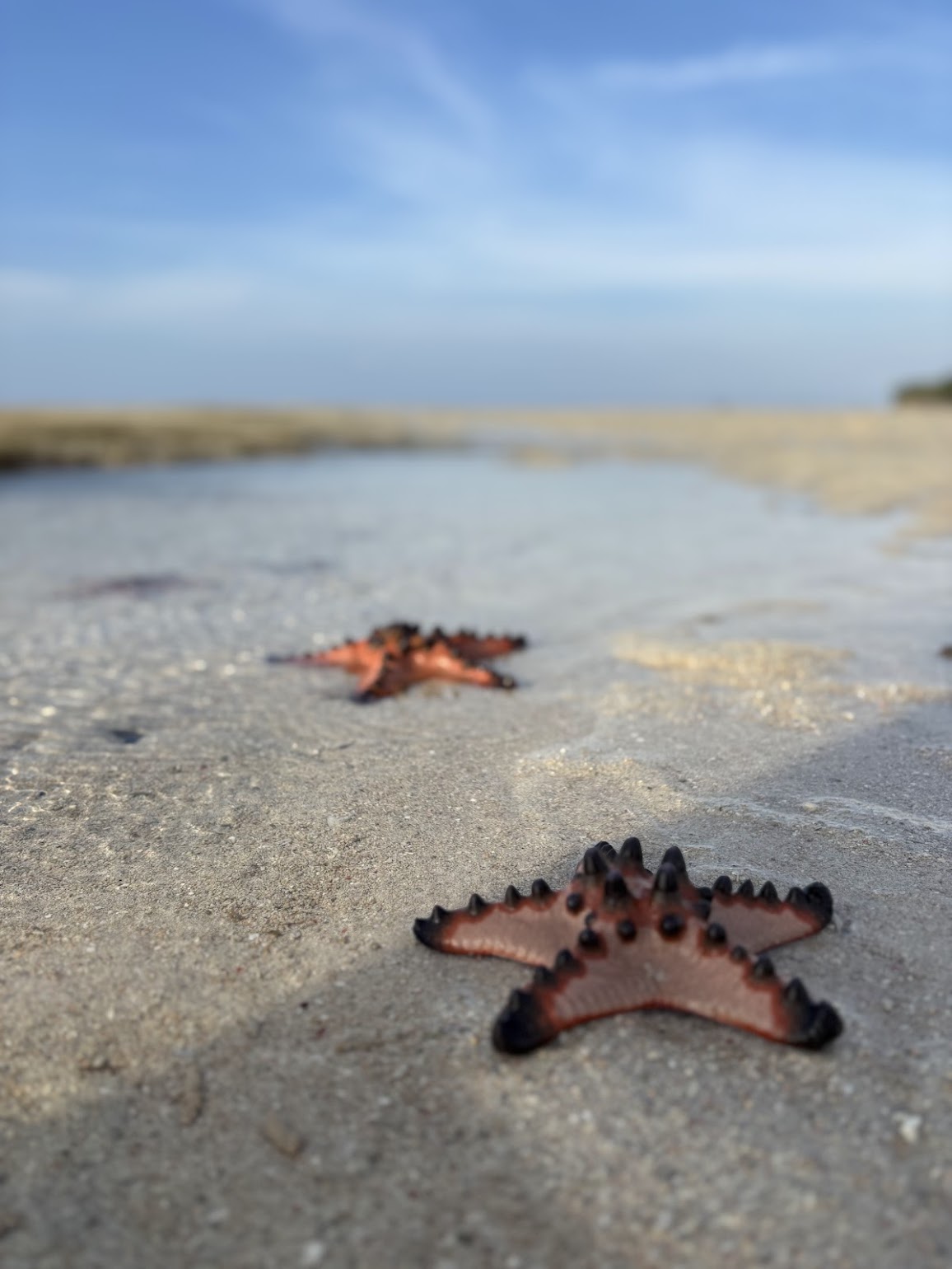 Voyage Lombok Gili authentique
