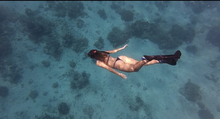 Voyage à São Tomé-et-Principe