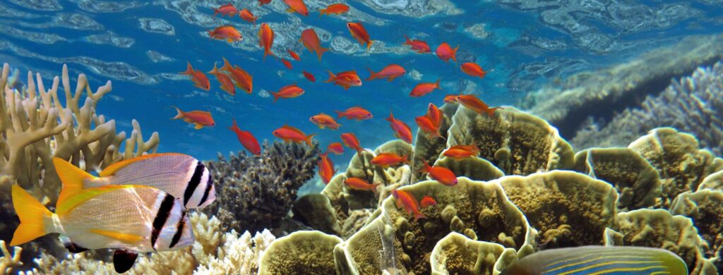 Voyage d'exception maldives