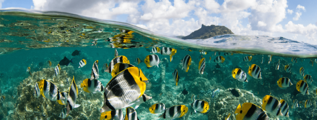 lune de miel de luxe en Polynésie