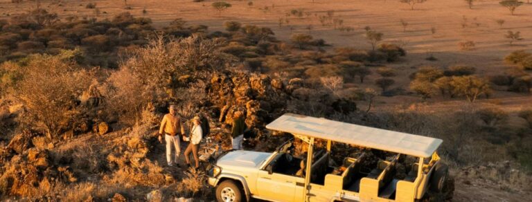 Safari de luxe en Afrique : comment vivre une expérience unique et sur mesure ?