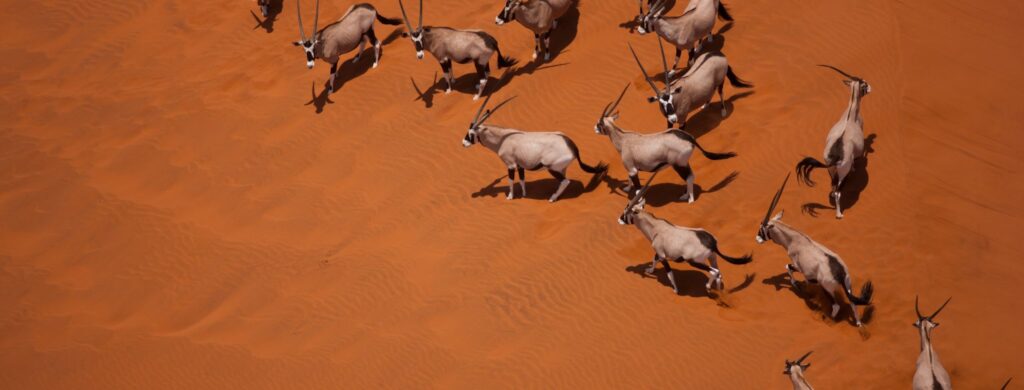 Voyage de noces destination originale